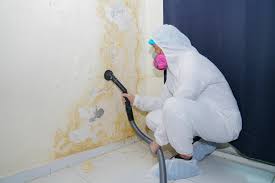 Best Residential Mold Inspection & Testing  in Weed, CA